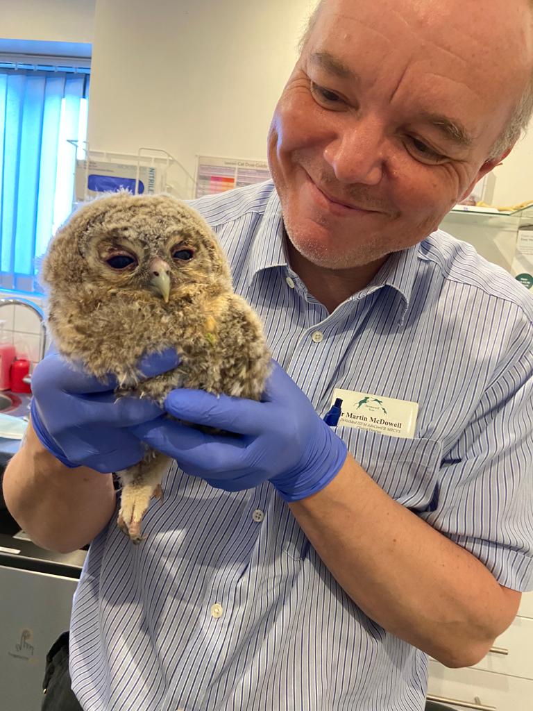 Martin holding a rescued tawny owl